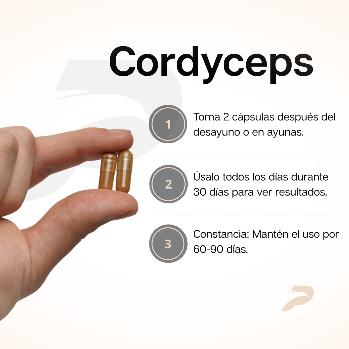 Cardiovascular Cordyceps