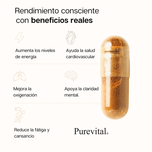 Cardiovascular Cordyceps