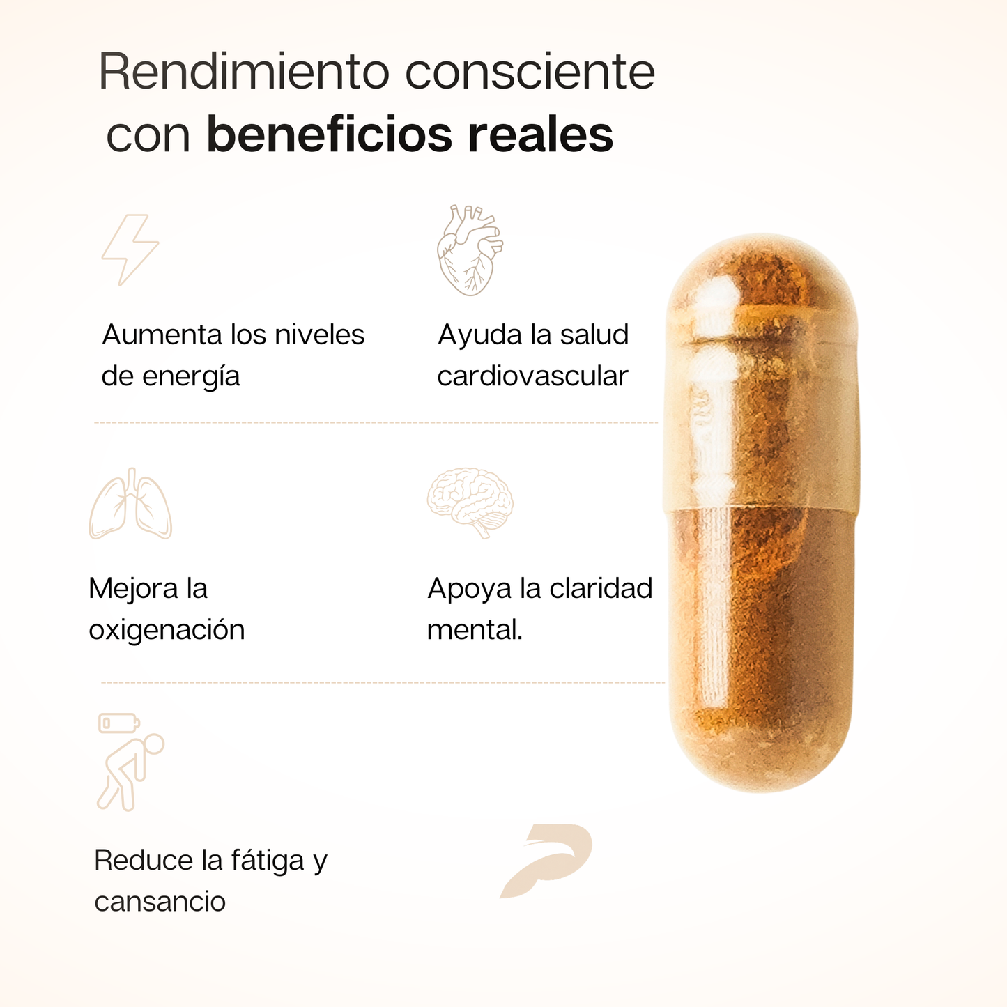 Cardiovascular Cordyceps