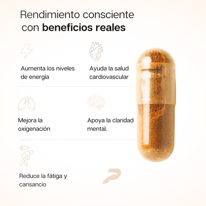 Cardiovascular Cordyceps
