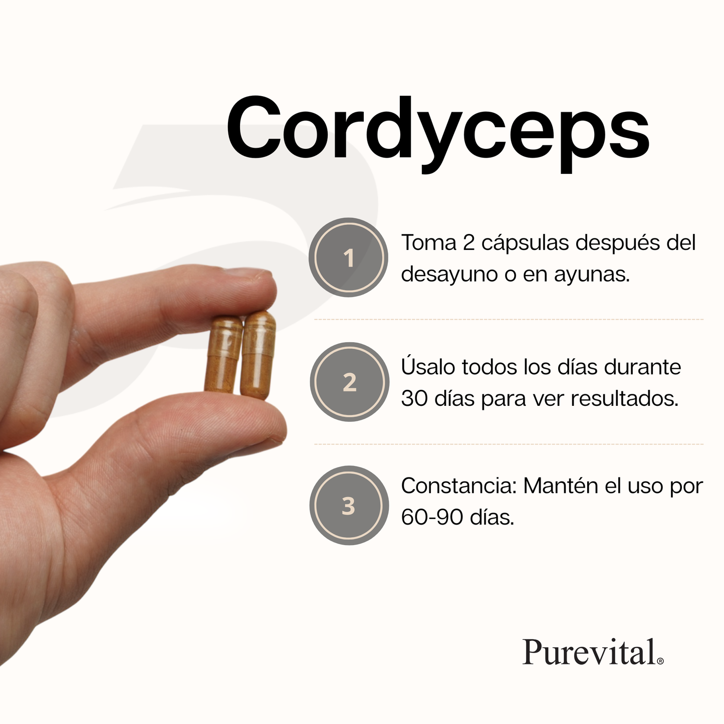 Cardiovascular Cordyceps