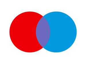Payment Icon
